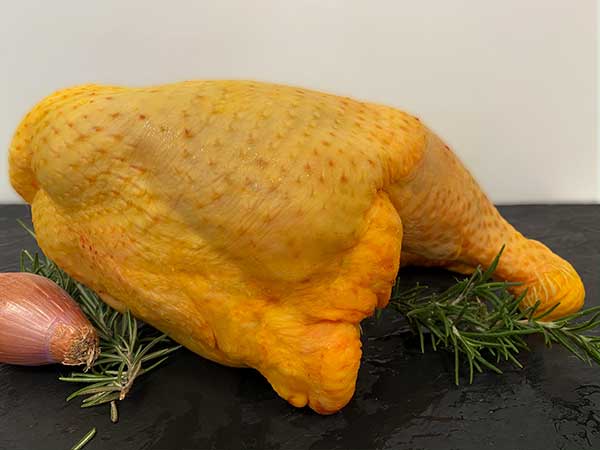 Carne-di-pollo-bologna