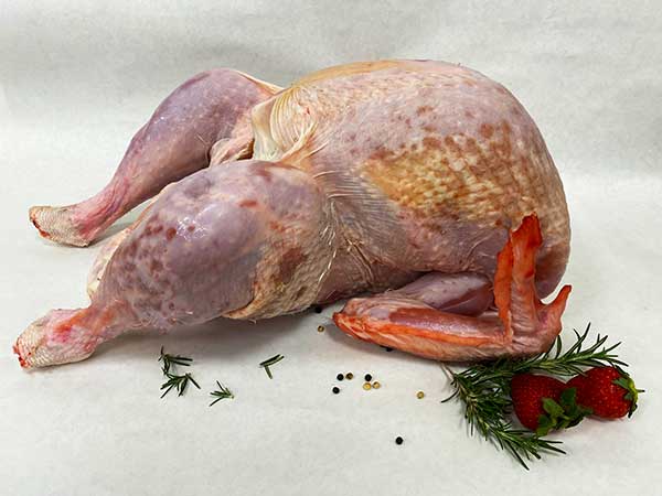 Vendita-all-ingrosso-di-carne-di-tacchino-bologna